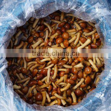 fresh nameko mushrooms in brine dalian of China