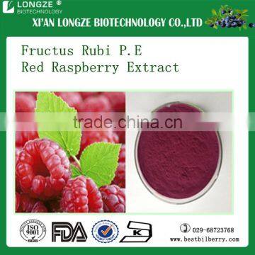 Good Taste Red Raspberry and Black Raspeberry Spray-dried Fruit Powder Ratio Extract 4:1 and 10:1