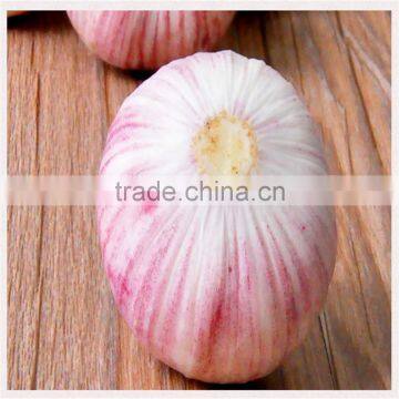 2016 New Crop Bulk Garlic With Competitive Price photo-3