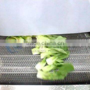 Water Recycle Saving Vegetable and Fruit Washing Cleaning Machine photo-5