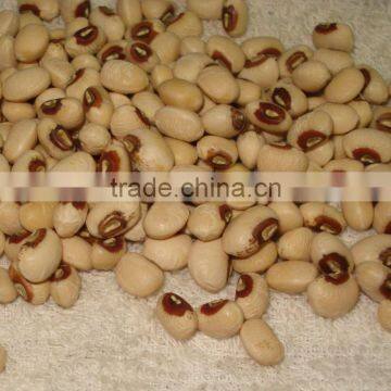 JSX medium size black eye beans and brown eye beans large export grade black eyed beans