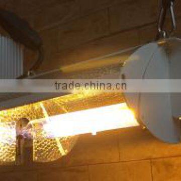 Double Enede Grow light Adjustable