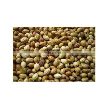 CORIANDER SEED OIL