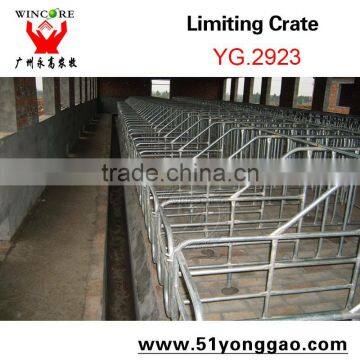 Galvanized Pipe Pig Equipment Gestation Slat Pig Limit Crate