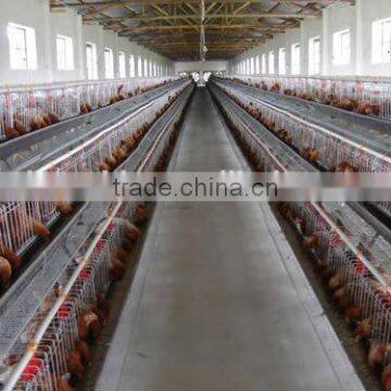Poultry Dung Removing Machinery Equipment /layer Poultry Cages for Nigeria/africa