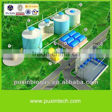 power biogas plant for animals waste management