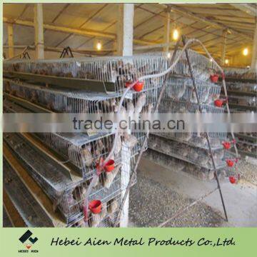 Quail farming cage Sale,hot selling quail farming cage