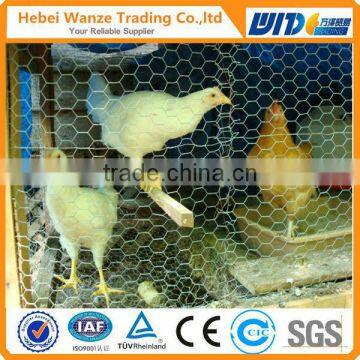 Chicken wire plastic coated hexagonal mesh