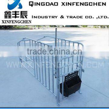 Pig Farming Equipment Swine Gestation Stall