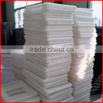 Chicken Transport Trays photo-2