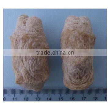 Direct Factory Price First Grade Soya Protein Food Making Machine photo-5