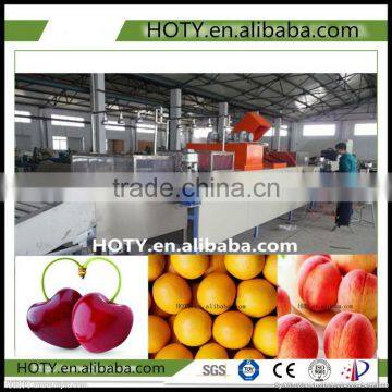 3ton/h food grade industrial fruit fish cassava fruit washing grading waxing machine