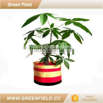 Eco Friendly Home Garden Planter Pot photo-3