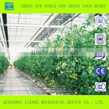 Advanced Agricultural Greenhouse for Vegetable