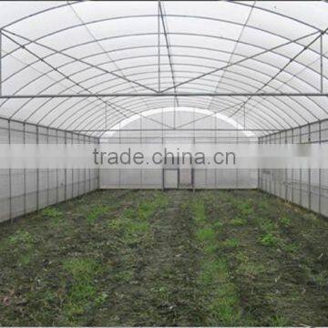 the Most Cheap Tunnel Greenhouse for Fruit photo-3