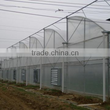 Hot dip galvanized steel structure plastic greenhouse