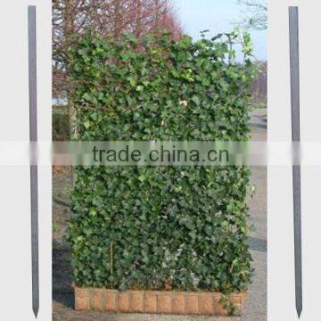 Tree Plastic Support Post 48MM photo-2