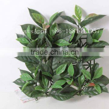 SJC016 Plastic Thick Grass Artificial Milan Grass Turf Fake Grass photo-2