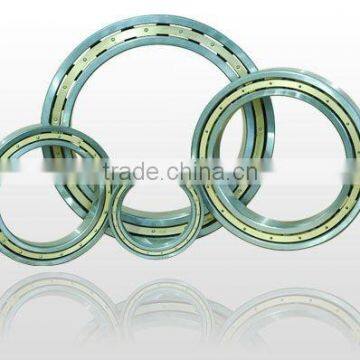 Deep Groove Ball Bearing 619 Series