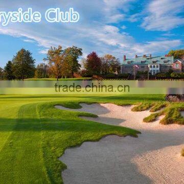 M5 Mini Blance Scooter 2016 Custom Designed for Golf for September Procurement Festival photo-6