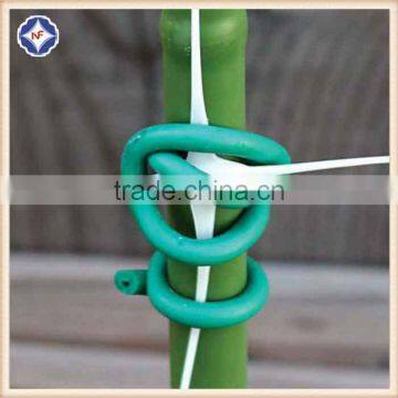 China Manufacturer High Quality Garden Twist Ties photo-3