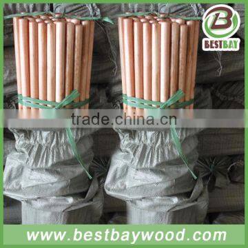 Varnish Painted Wooden Rake Handle Made in China photo-5