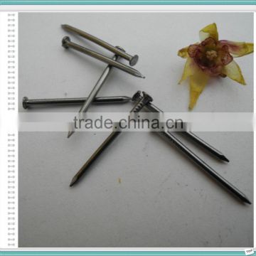 Polished Common Wire Iron Nail from China