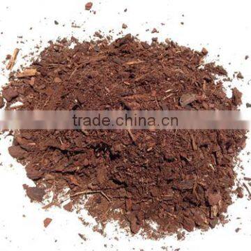 Pine Bark Extract photo-2