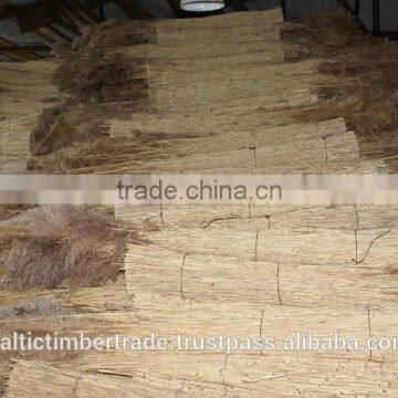 Water Reed Bundles, Europe Origig, Sweetwater