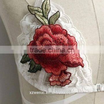 Sexy Underwear Woman Transparent Lingerie Size 34 Photos Girls Underwear Bra New Design Sexy Lingerie Showing Nipples