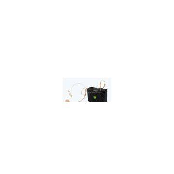 Rechargeable Mini Voice Amplifier with headset microphone
