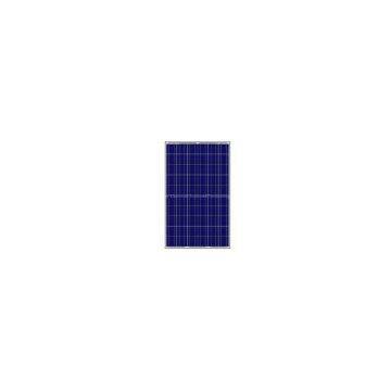 Solar Module 60w