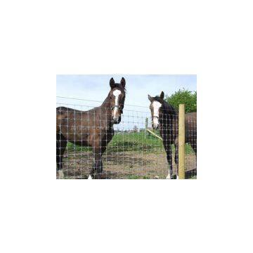 Field fence - woven wire mesh fence