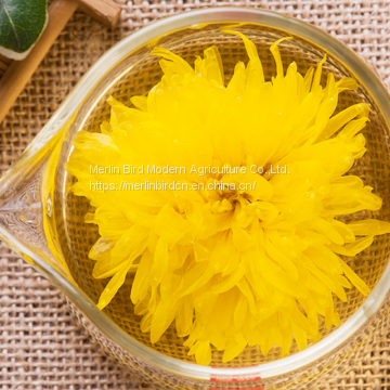 Dried Chinese Blooming CHRYSANTHEMUM TEA Ball photo-3