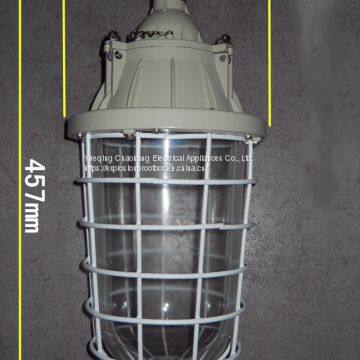 250W Extension Explosion-proof Lamp Waterproof Dustproof Lamp Explosion-proof Energy-saving Lamp BAD54 photo-3