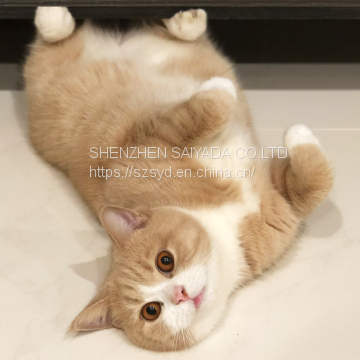 Шампуни для собак оптом photo-3