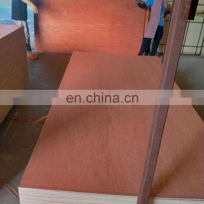 Bintangor plywood for furniture  9mm 12mm 15mm 18mm Commercial plywood Okoume Plywood