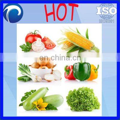 Professional Good Quality Wheat Seed Coater | Onion Seeds Coating Machine photo-4
