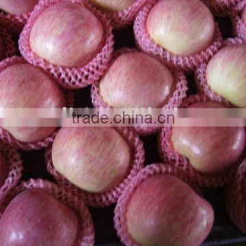 Red Star Apple