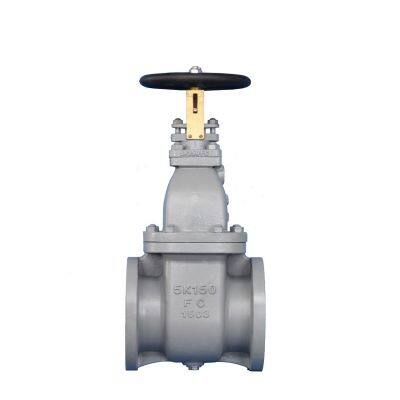 Marine Valves JIS F7363 Cast Iron Gate Valve 10K DN80 5K DN150 Flange Bronze Gate Valve Factory Price photo-6