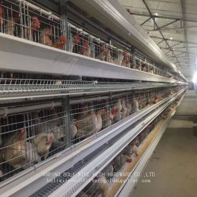 Customized 3-8 Tiers 50000 Chicken Egg Layer Cage New Condition Laying Hen Automatic Equipment Breeder Battery Cage Chicken BOLI