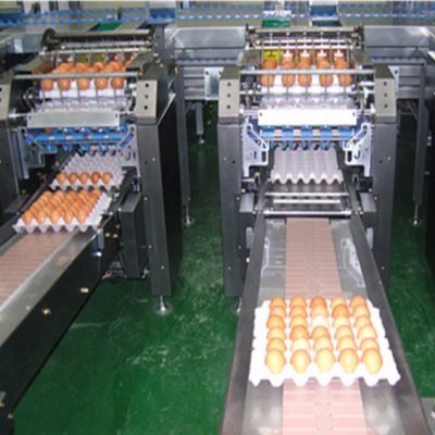 Poultry Egg Automatic Packaging Machine Processing Line