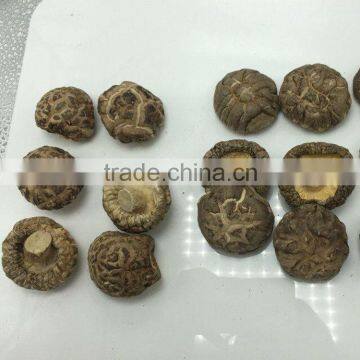 Dried Flower Shiitake Mushrooms 1KG photo-5