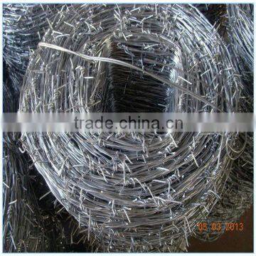 16#x18# 16#x16# Galvanized Barbed Wire (Professional Manufacturer)