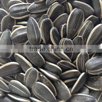 export sunflower seeds sunflower seeds ton price sunflower seeds price