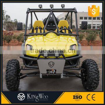 5000W Electric UTV