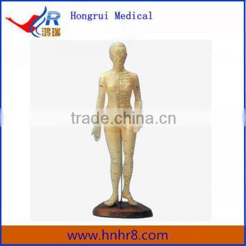 48cm Human Female Acupuncture Model