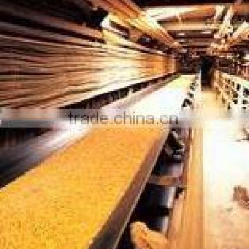 multi ply NN fabric conveyor belt