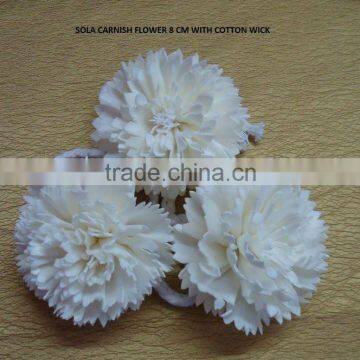 Sola flower for decoration