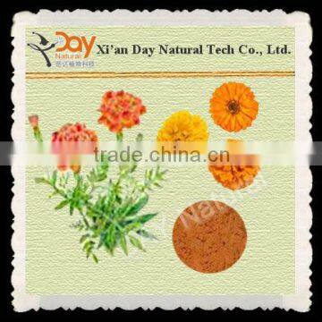 Marigold Flower Extract Lutein Halal